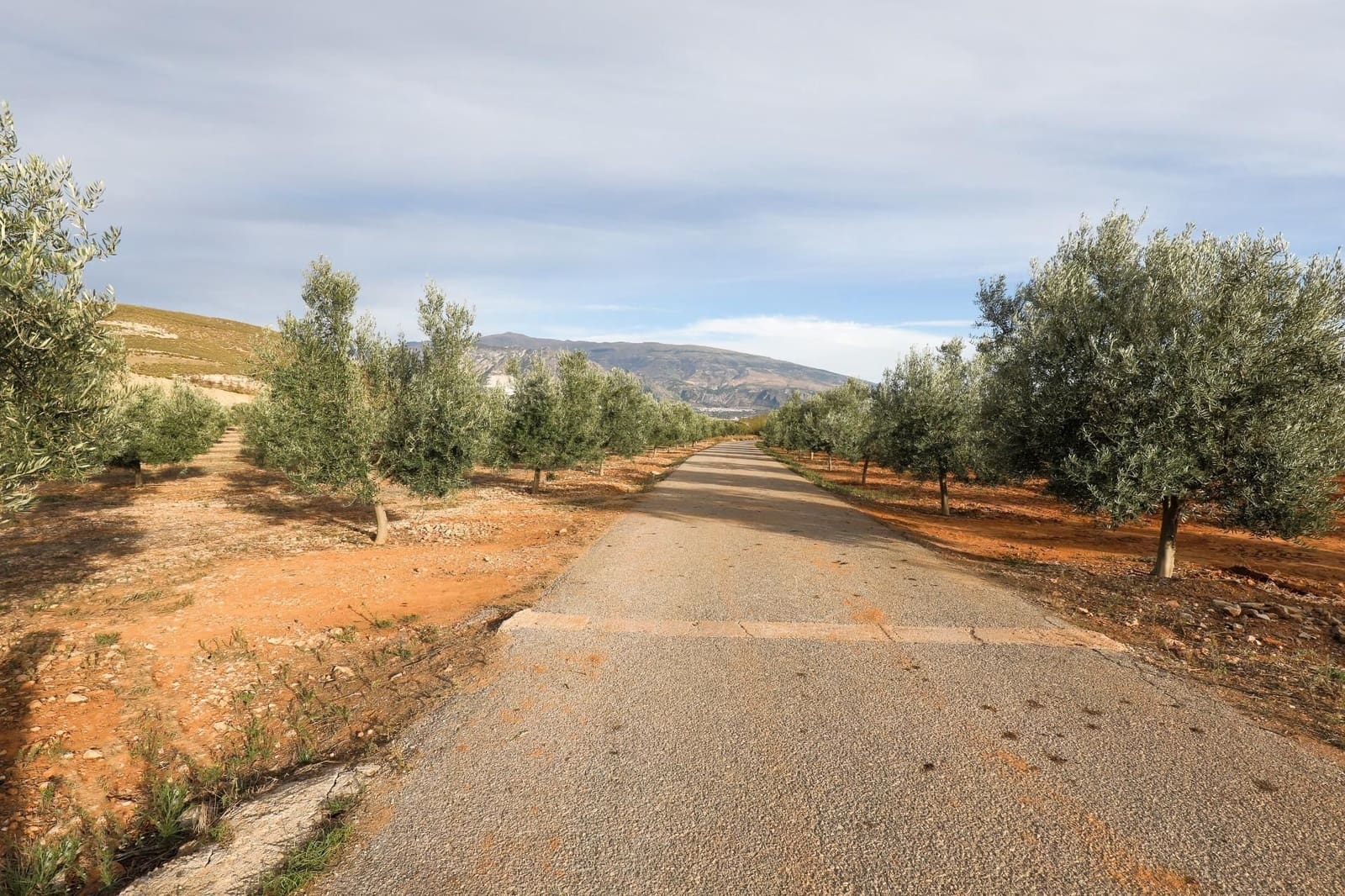 Finca/Landehus til salg i Villamena - € 700.000 (Ref: 9539489)