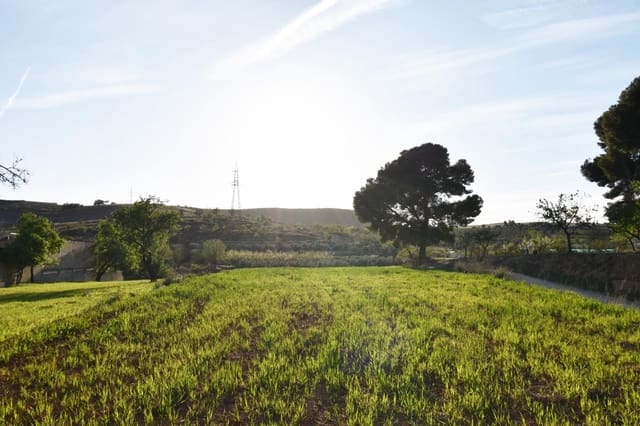 Terreno/Finca Rústica en Padul en venta - 35.000 € (Ref: 9542838)