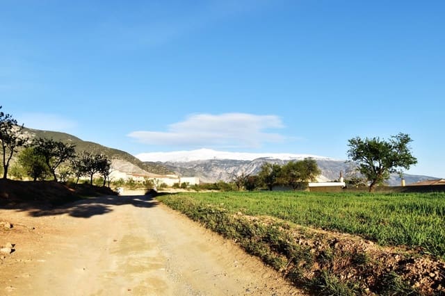 Terreno/Finca Rústica en Padul en venta - 35.000 € (Ref: 9542838)