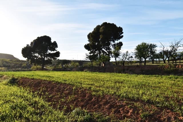 Terreno/Finca Rústica en Padul en venta - 35.000 € (Ref: 9542838)