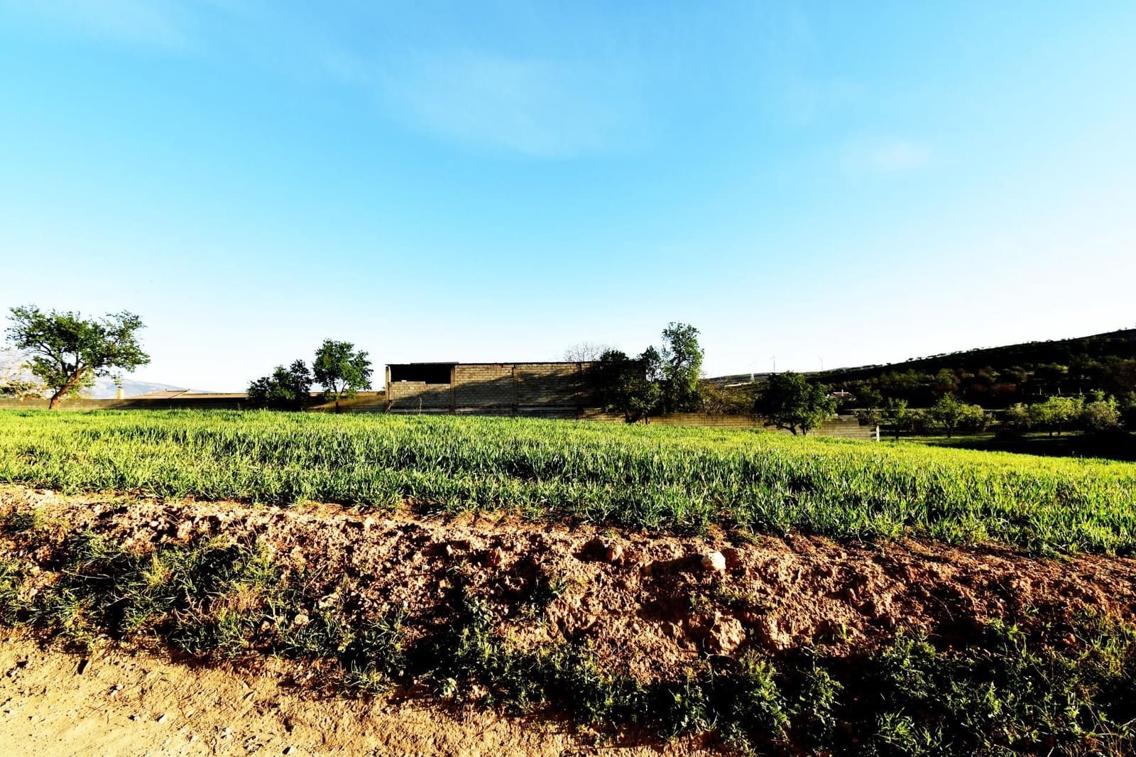 Terreno/Finca Rústica en Padul en venta - 35.000 € (Ref: 9542838)