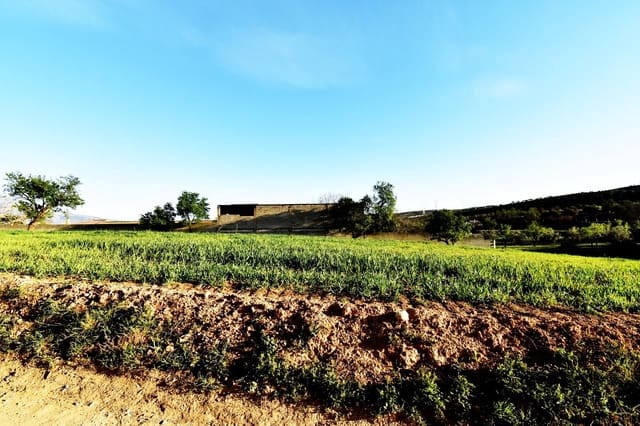 Terreno/Finca Rústica en Padul en venta - 35.000 € (Ref: 9542838)