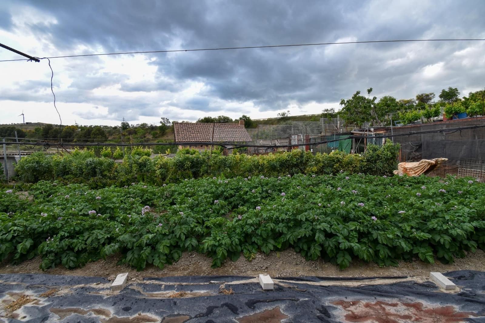 3 soveværelse Finca/Landehus til salg i Padul med garage - € 250.000 (Ref: 9543345)