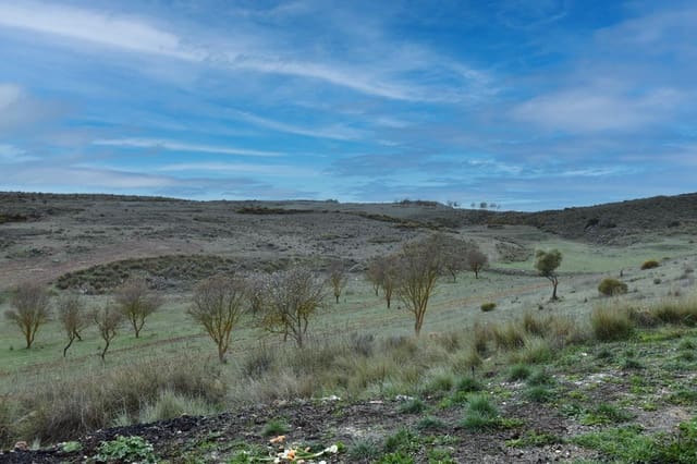 Finca/Landehus til salg i Albuñuelas - € 28.000 (Ref: 9543350)