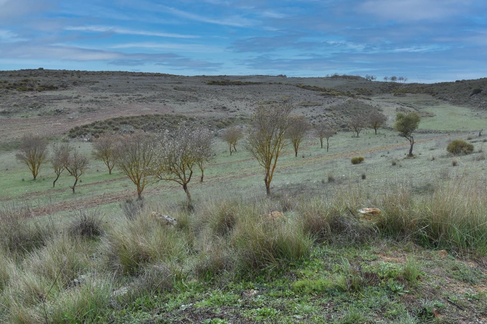 Finca/Landehus til salg i Albunuelas - € 28.000 (Ref: 9543350)