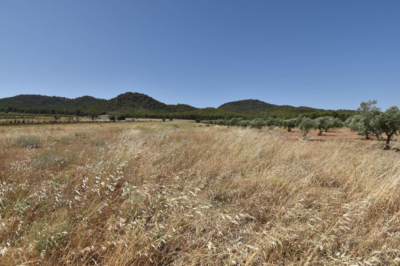 Finca/Landehus til salg i Padul - € 88.000 (Ref: 9543351)