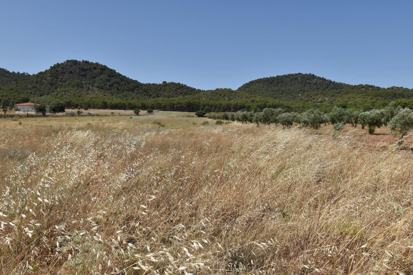 Finca/Landehus til salg i Padul - € 88.000 (Ref: 9543351)