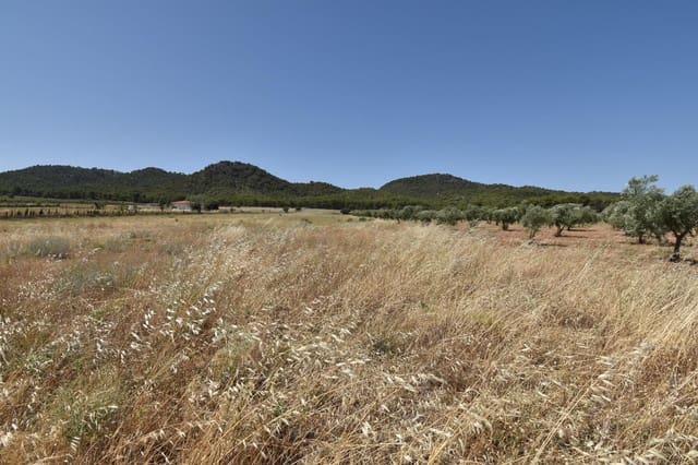 Finca/Landehus til salg i Padul - € 88.000 (Ref: 9543351)