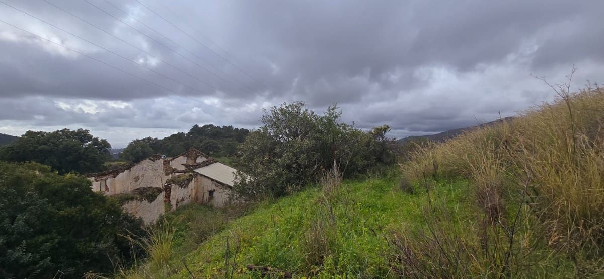 Quinta/Casa Rural para venda em Benahavis - 3 900 000 € (Ref: 8845947)