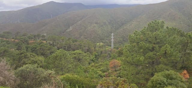 Finca/Landhuis te koop in Benahavís - € 3.900.000 (Ref: 8845947)