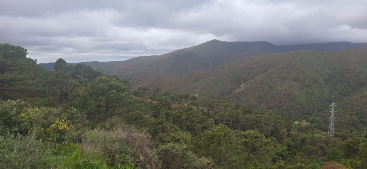 Finca/Herregård til salgs i Benahavis - € 3 900 000 (Ref: 8845947)