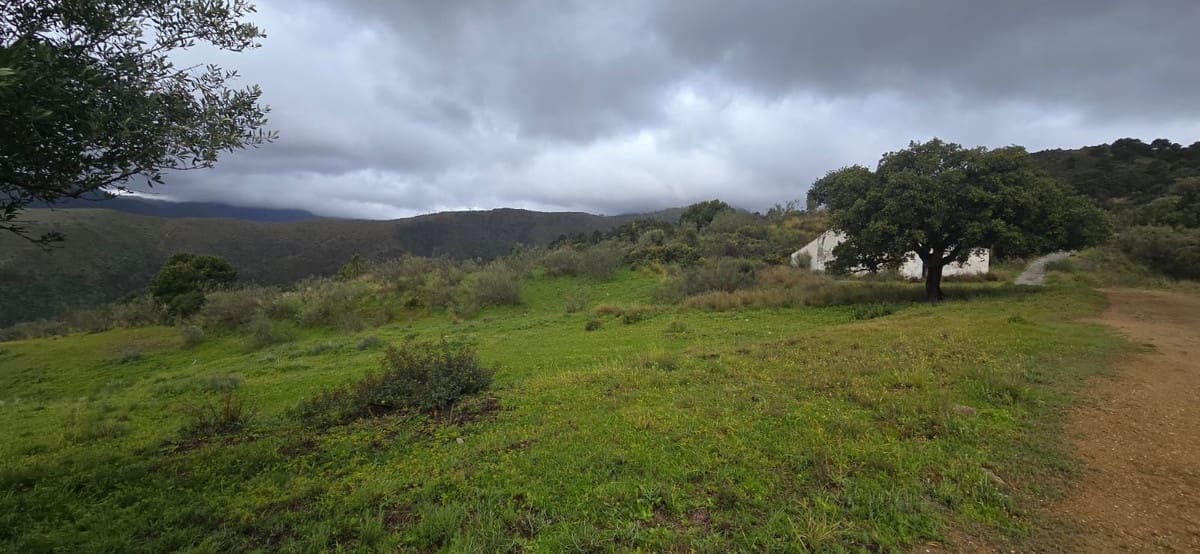 Finca/Landehus til salg i Benahavis - € 3.900.000 (Ref: 8845947)