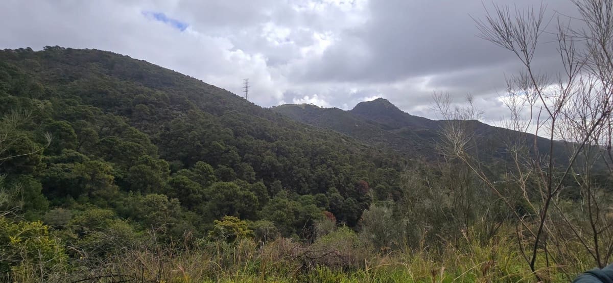 Finca/Landehus til salg i Benahavis - € 3.900.000 (Ref: 8845947)