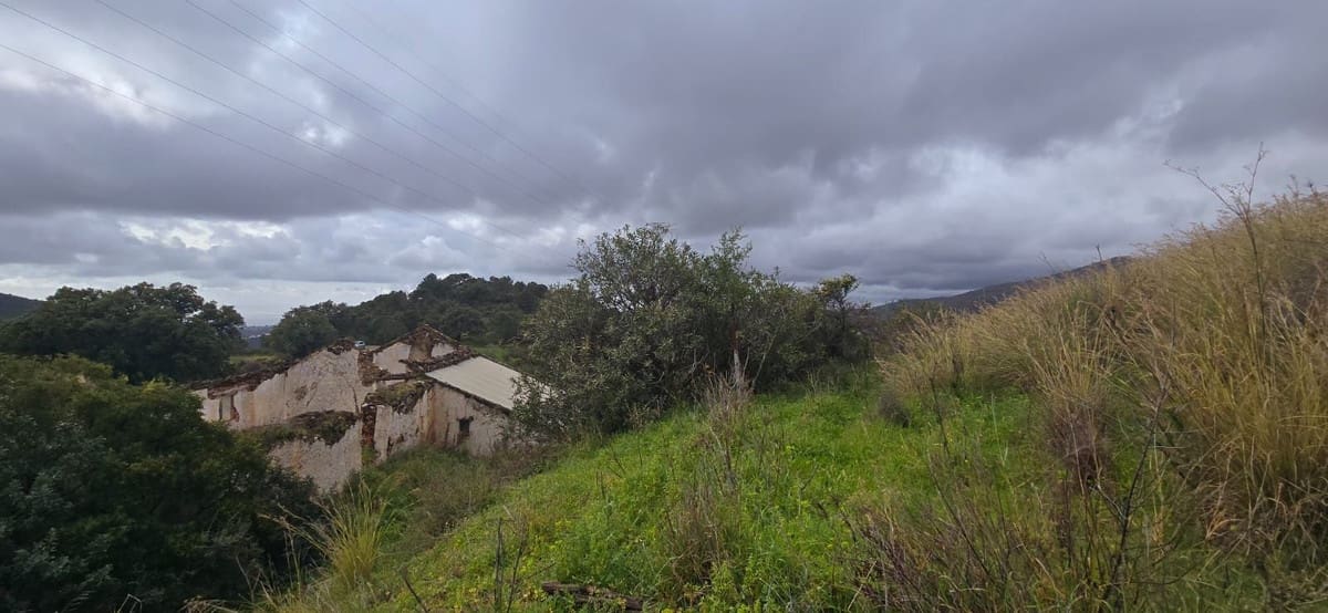 Finca/Landehus til salg i Benahavis - € 3.900.000 (Ref: 8845947)