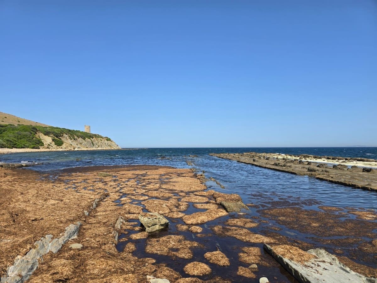 Finca/Casa Rural en Tarifa en venta - 715.000 € (Ref: 9025233)