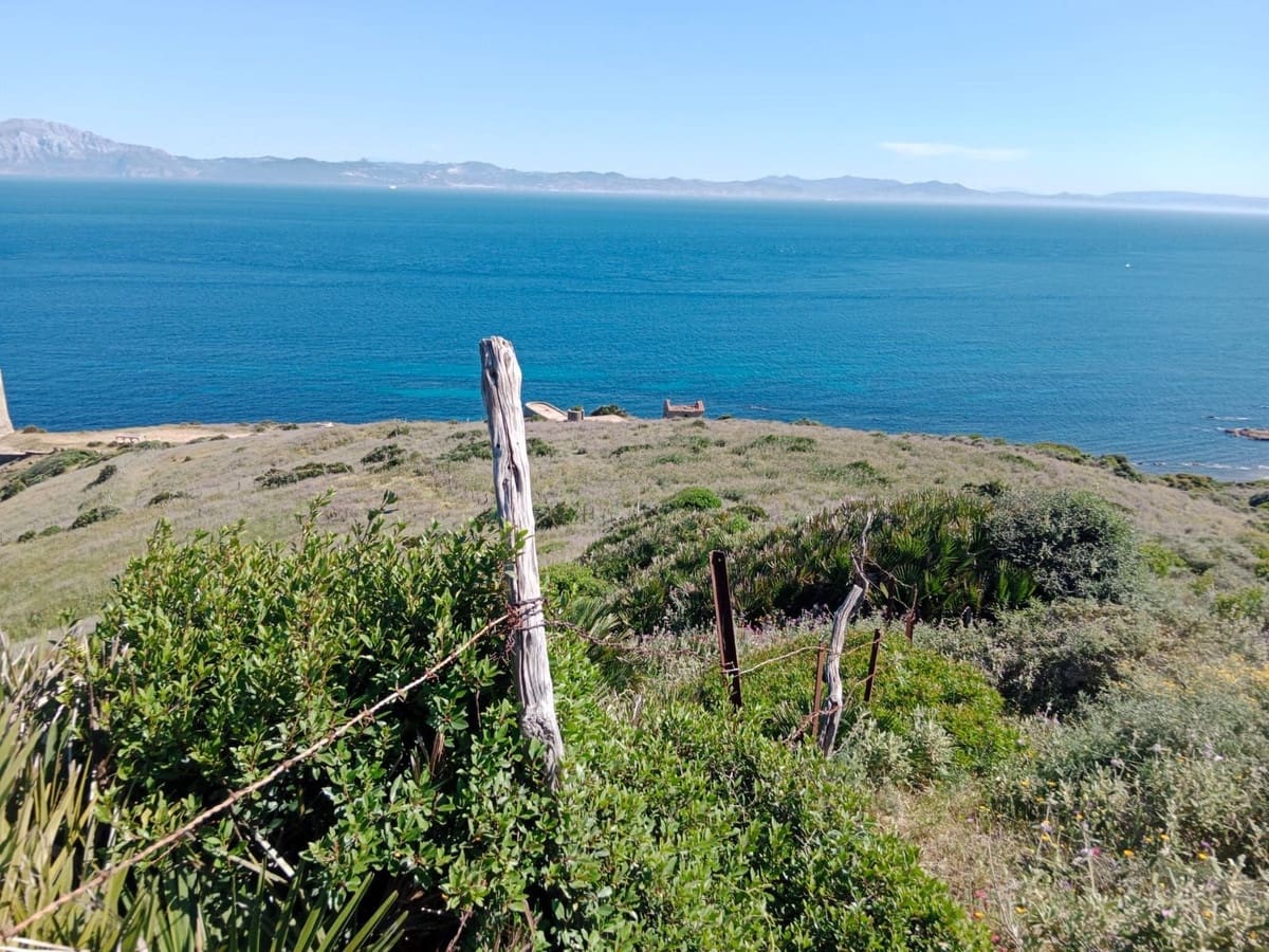 Finca/Casa Rural en Tarifa en venta - 715.000 € (Ref: 9025233)