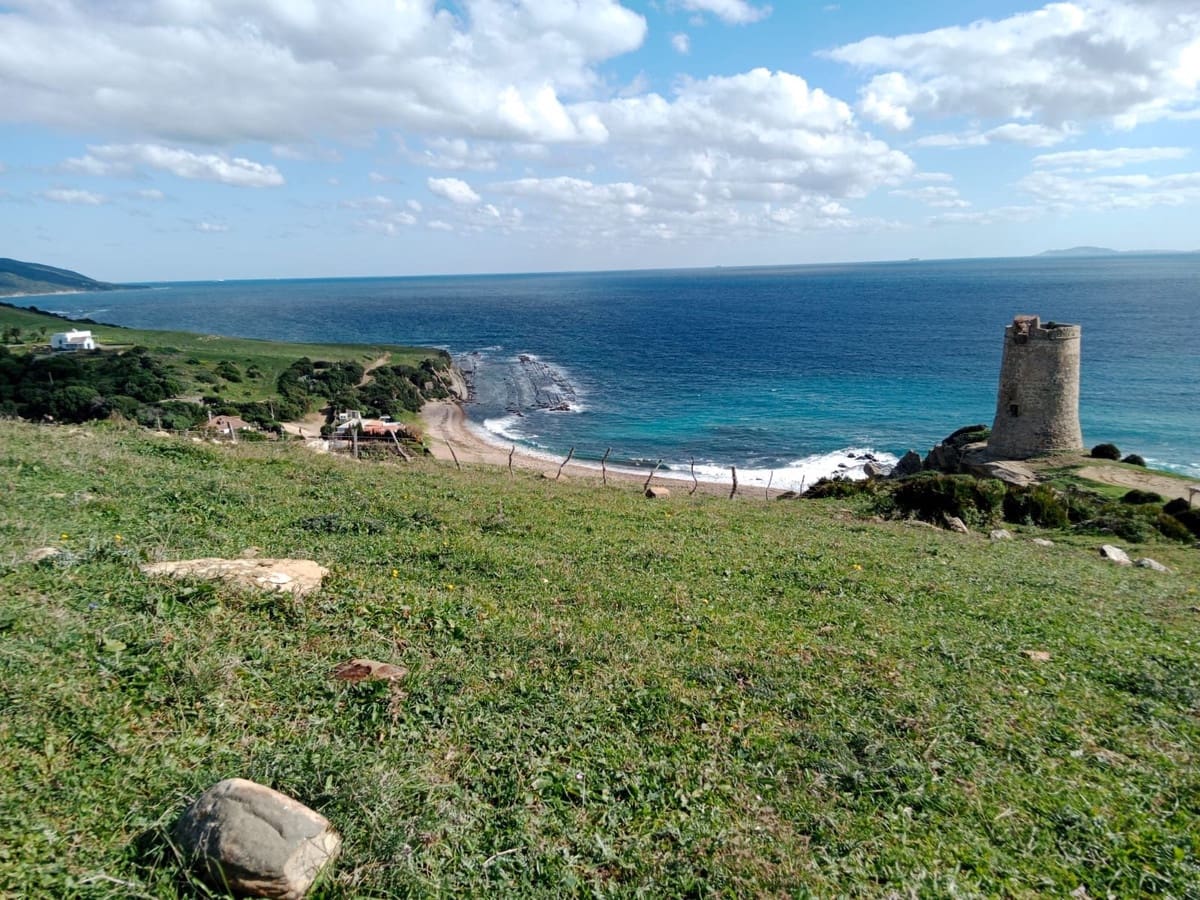 Finca/Casa Rural en Tarifa en venta - 715.000 € (Ref: 9025233)