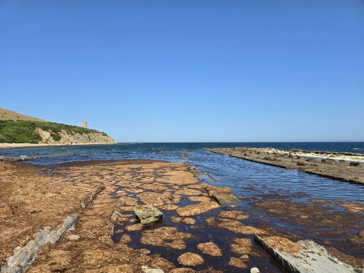 Finca/Maison de Campagne à vendre à Tarifa - 715 000 € (Ref: 9025233)