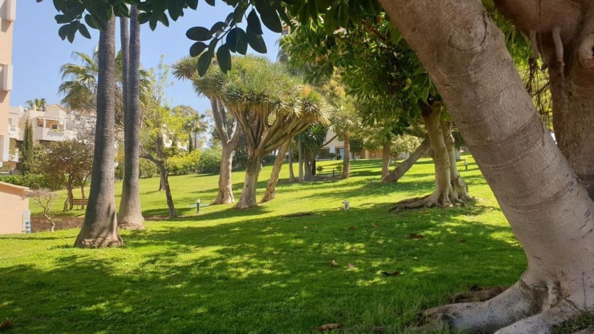 1 bedroom Studio for rent in Nueva Andalucia with pool garage - € 1,600 (Ref: 9756777)