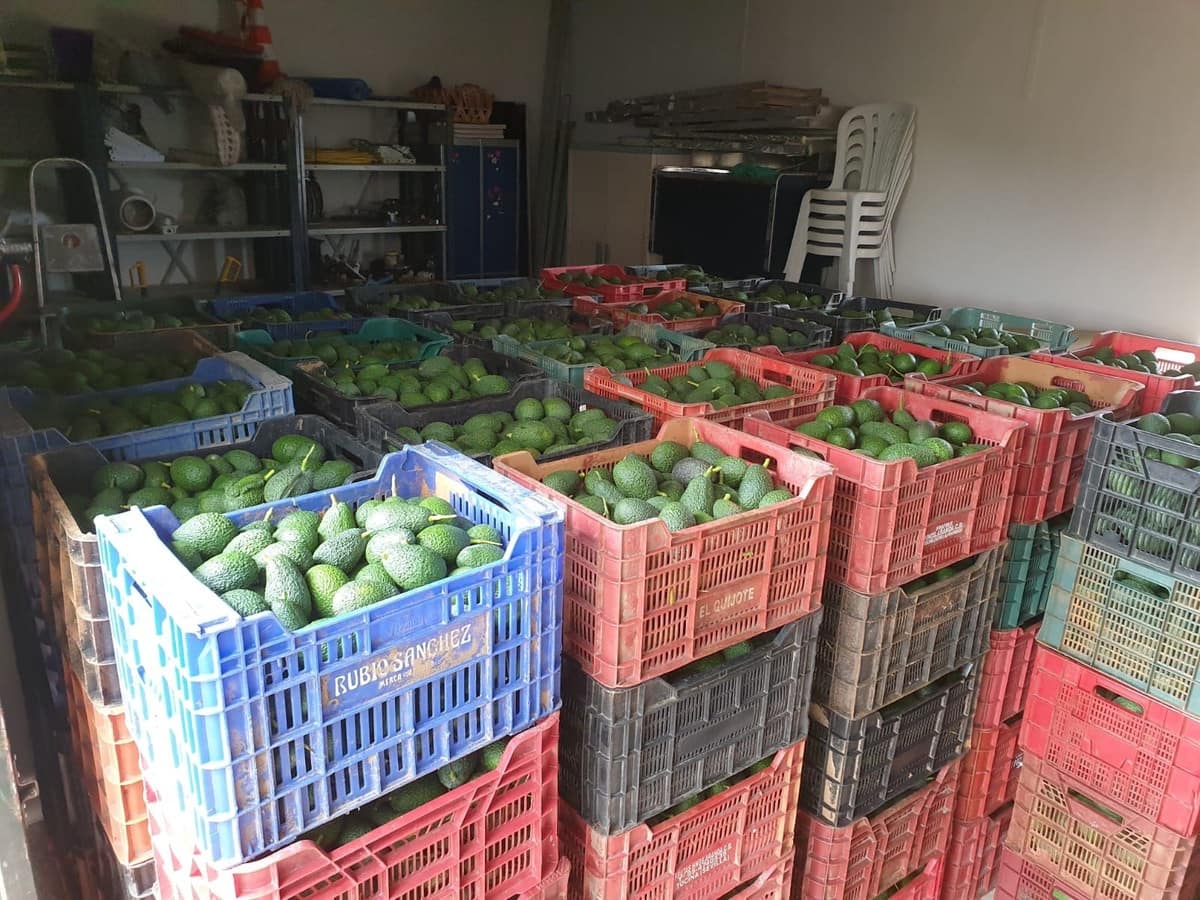 2 sovrum Finca/Hus på landet till salu i Guaro med garage - 545 000 € (Ref: 9759462)