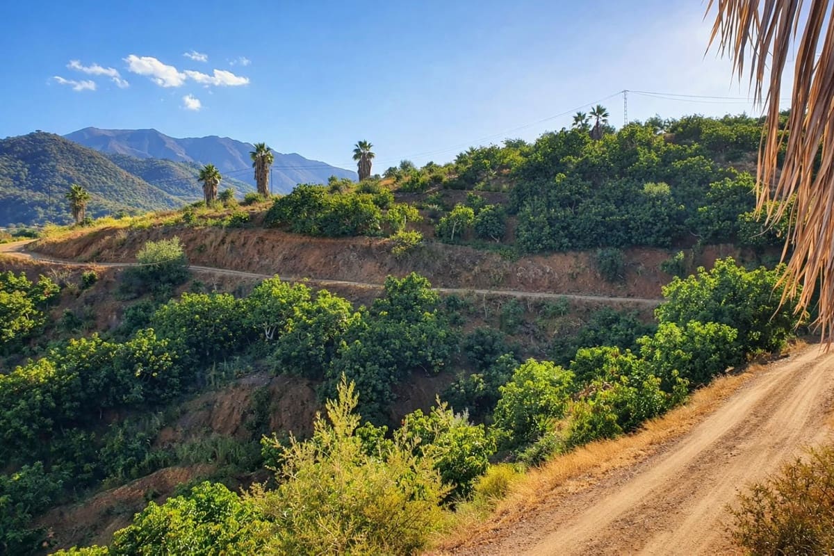 2 bedroom Finca/Country House for sale in Guaro with garage - € 545,000 (Ref: 9759462)