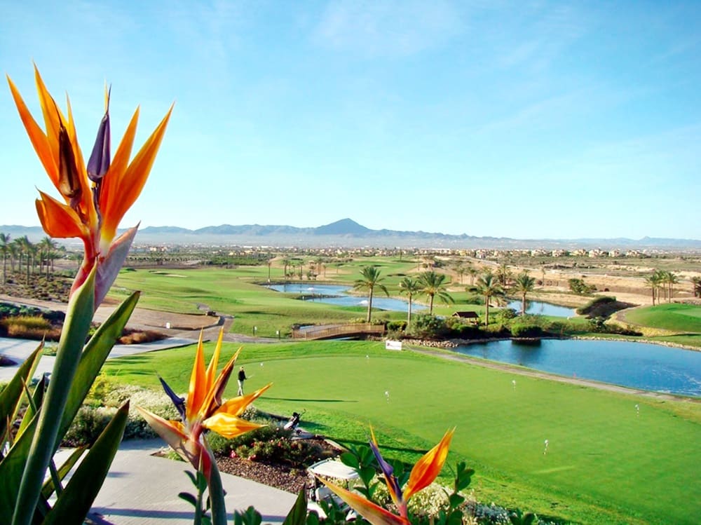 2 bedroom Apartment for sale in Hacienda del Alamo with pool garage - € 157,950 (Ref: 9637958)