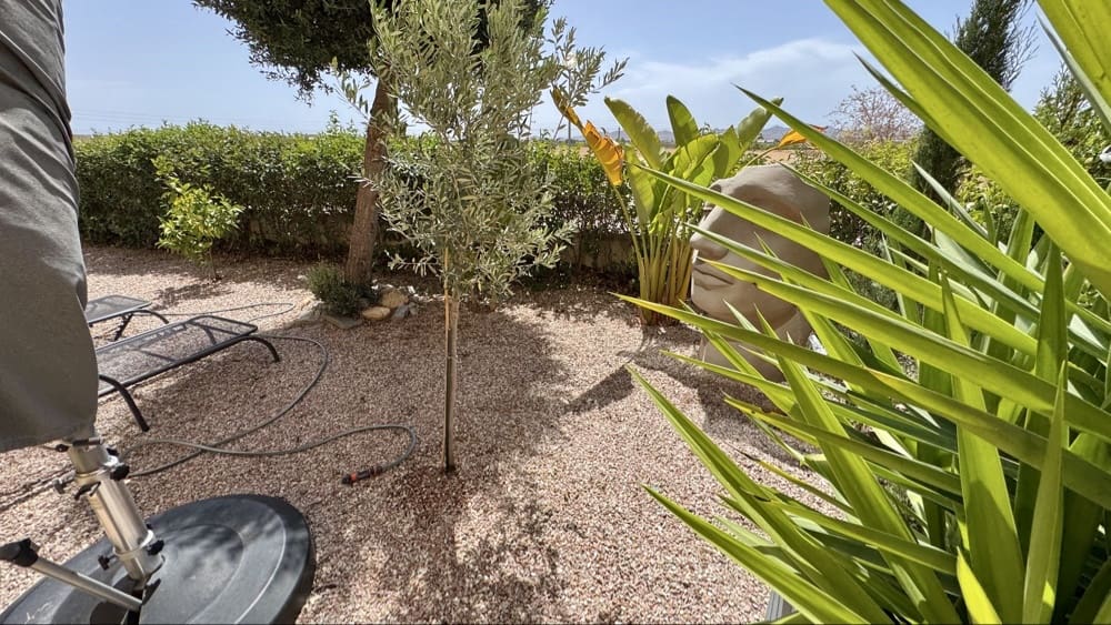 2 Zimmer Apartment zu verkaufen in Hacienda del Alamo mit Pool Garage - 199.990 € (Ref: 9918953)