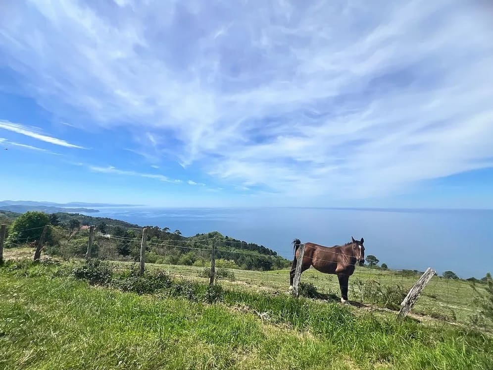 9 soveværelse Villa til salg i Donostia-San Sebastian - € 2.750.000 (Ref: 8905915)