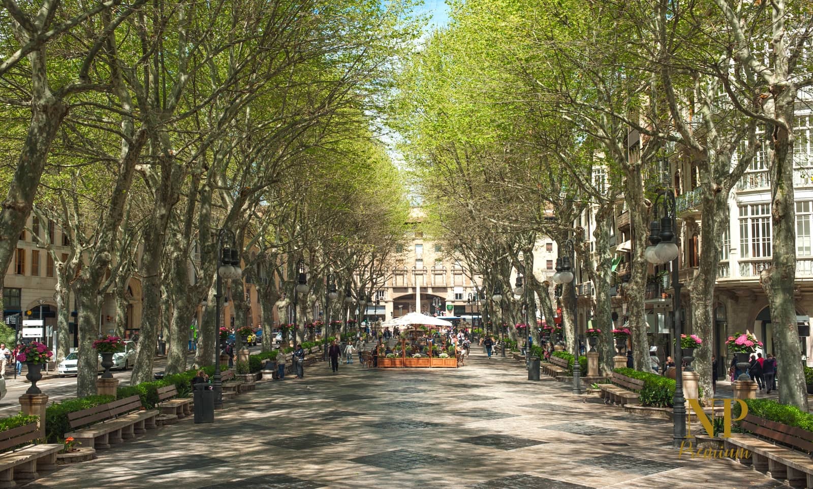 3 Zimmer Wohnung zu verkaufen in Palma de Mallorca - 578.500 € (Ref: 10023230)