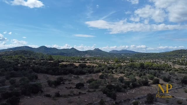 Finca/Maison de Campagne à vendre à Son Servera - 922 000 € (Ref: 10165461)