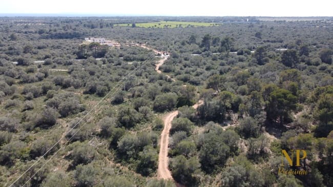 Finca/Country House for sale in Llucmajor - € 980,000 (Ref: 6754335)