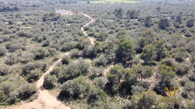 Finca/Country House for sale in Llucmajor - € 980,000 (Ref: 6754335)