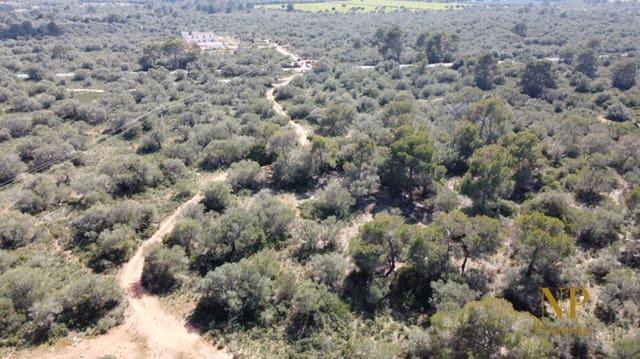 Finca/Landehus til salg i Llucmajor - € 980.000 (Ref: 6754335)