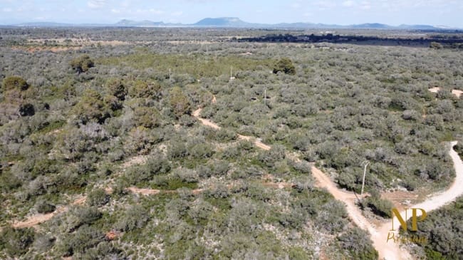 Finca/Country House for sale in Llucmajor - € 980,000 (Ref: 6754335)