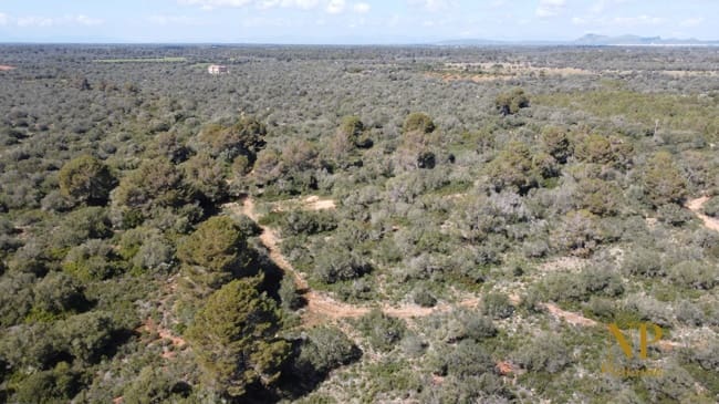 Finca/Country House for sale in Llucmajor - € 980,000 (Ref: 6754335)