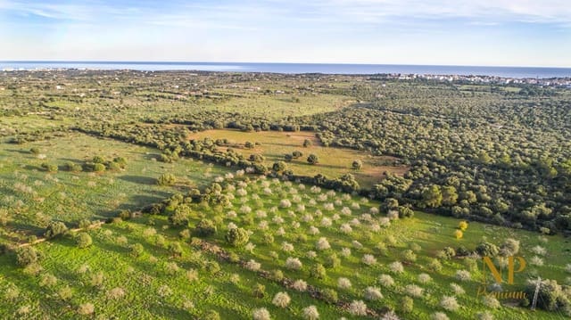 Finca/Landehus til salg i Portocristo / Port de Manacor, Manacor - € 945.000 (Ref: 7601720)