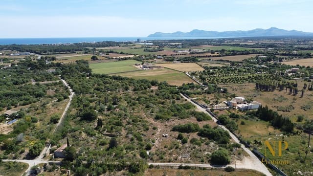 Undeveloped Land for sale in Muro - € 225,000 (Ref: 7717137)
