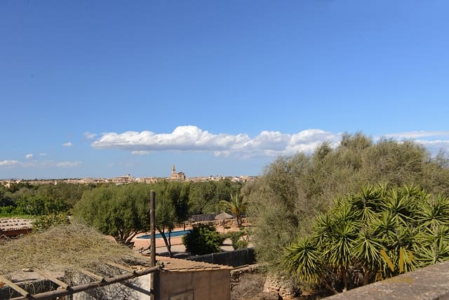 3 slaapkamer Finca/Landhuis te koop in Ses Salines - € 1.220.000 (Ref: 8551680)