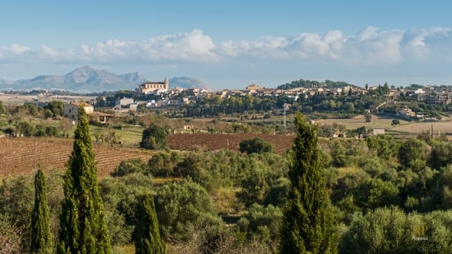 4 soveværelse Finca/Landehus til salg i Maria de la Salud / Maria de la Salut - € 1.800.000 (Ref: 9235302)