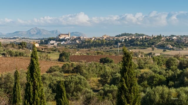 4 soveværelse Finca/Landehus til salg i María de la Salud / María de la Salut - € 1.800.000 (Ref: 9235302)