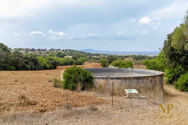 Finka/Dom wiejski na sprzedaż w Felanitx - 2 000 000 € (Ref: 9326926)