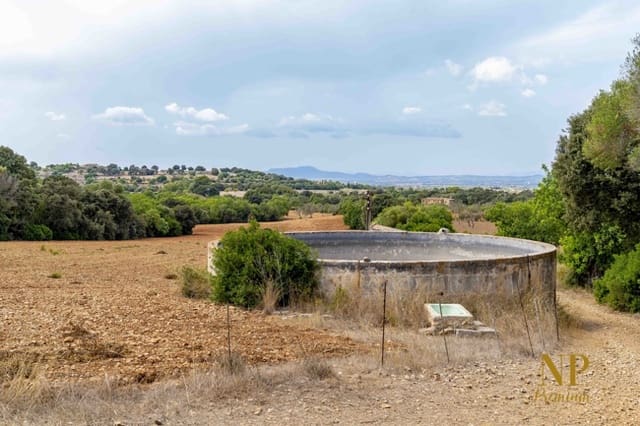 Finka/Dom wiejski na sprzedaż w Felanitx - 2 000 000 € (Ref: 9326926)