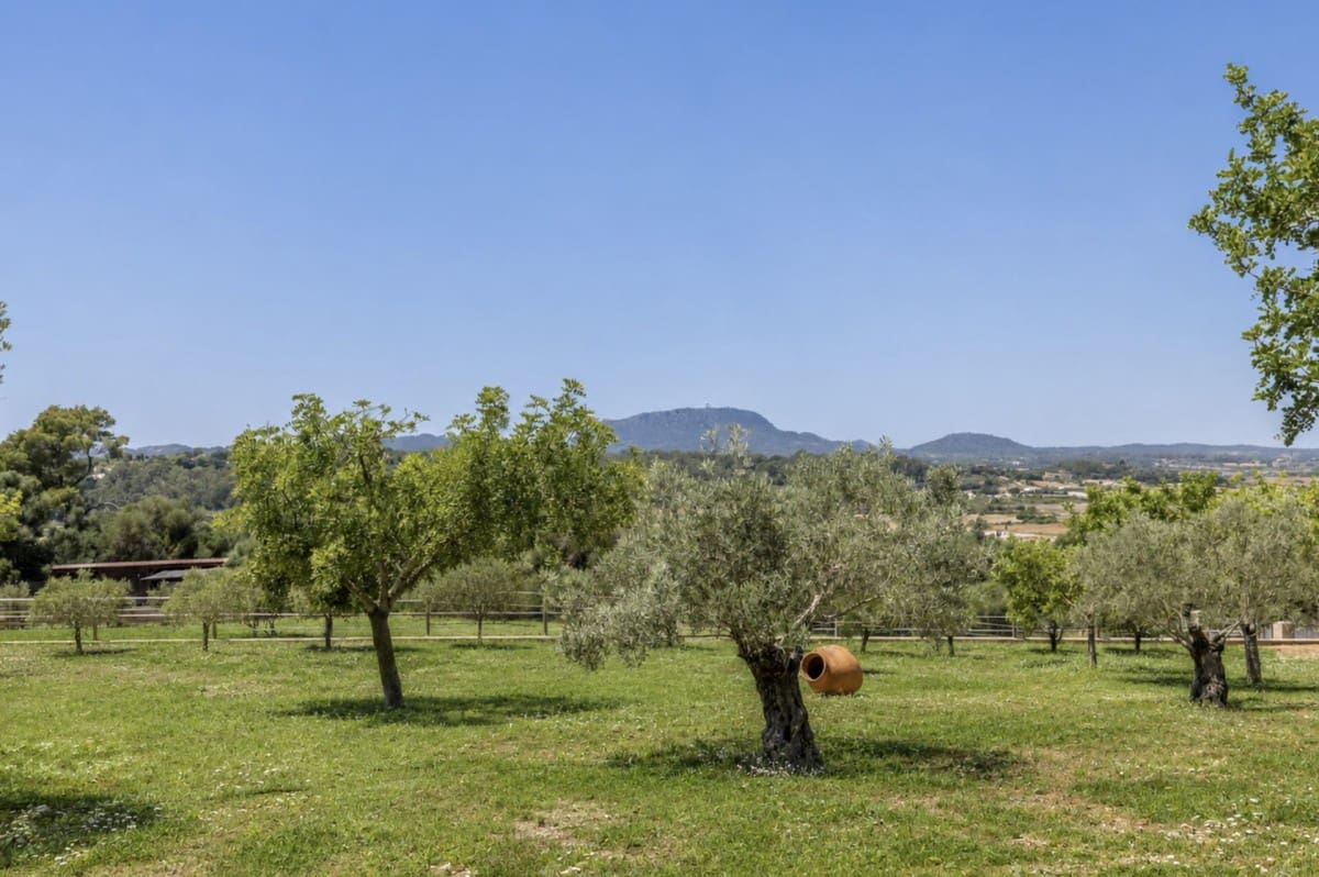 4 chambre Finca/Maison de Campagne à vendre à Montuiri avec piscine - 2 950 000 € (Ref: 10039212)