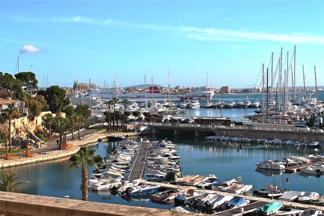 4 soverom Leilighet til leie i Palma de Mallorca - € 2 950 (Ref: 8304534)