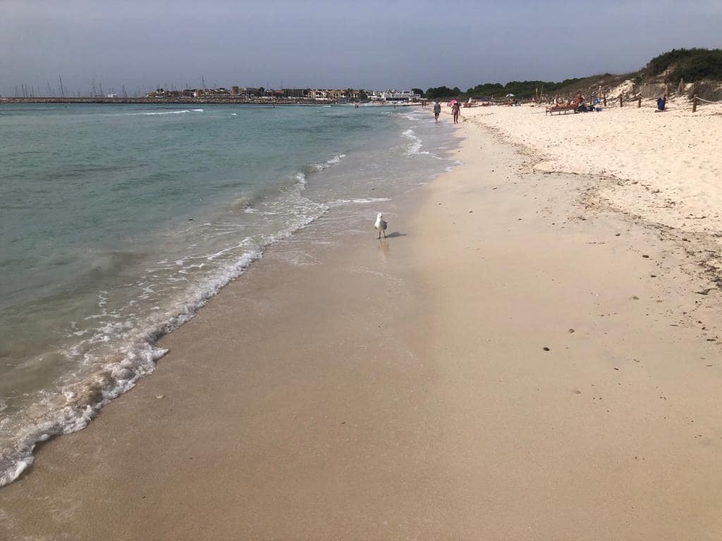 2 bedroom Flat for sale in Sa Rapita / La Rapita - € 590,000 (Ref: 8490502)