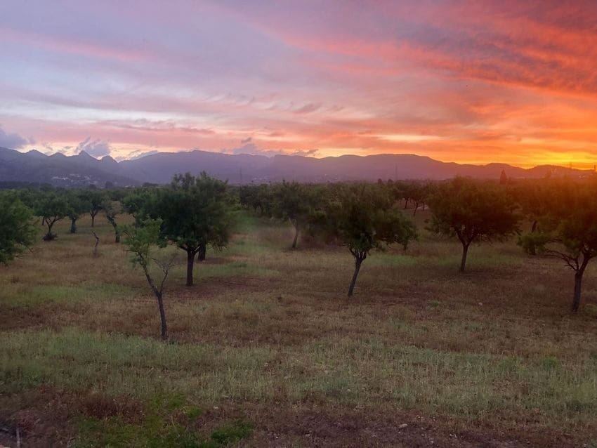 3 soveværelse Villa til salg i Son Sardina med swimmingpool - € 809.000 (Ref: 8788137)