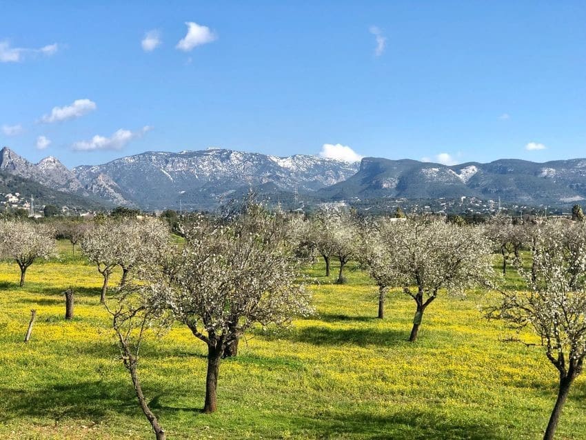 3 soveværelse Villa til salg i Son Sardina med swimmingpool - € 809.000 (Ref: 8788137)