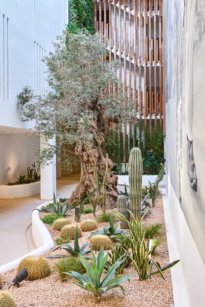 1 bedroom Flat for sale in Ibiza / Eivissa town - € 1,395,000 (Ref: 8885623)