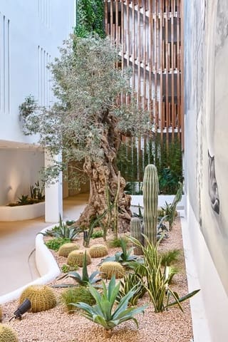 1 Zimmer Wohnung zu verkaufen in Ibiza / Eivissa Stadt - 1.395.000 € (Ref: 8885623)