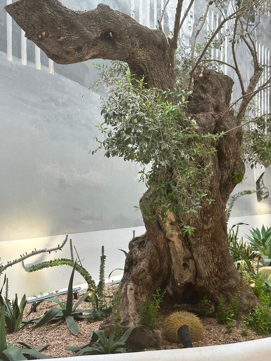 1 bedroom Flat for sale in Ibiza / Eivissa town - € 1,395,000 (Ref: 8885623)